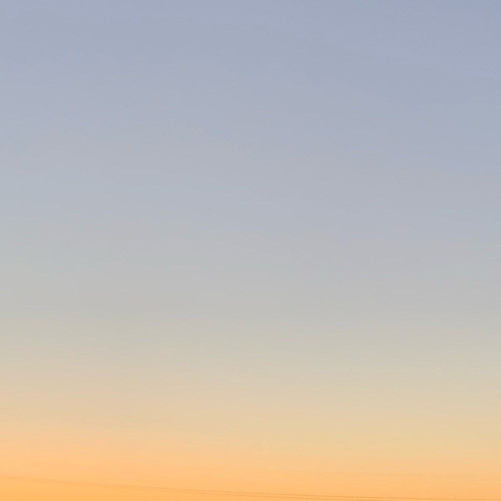 Meet your Posher, Alondra